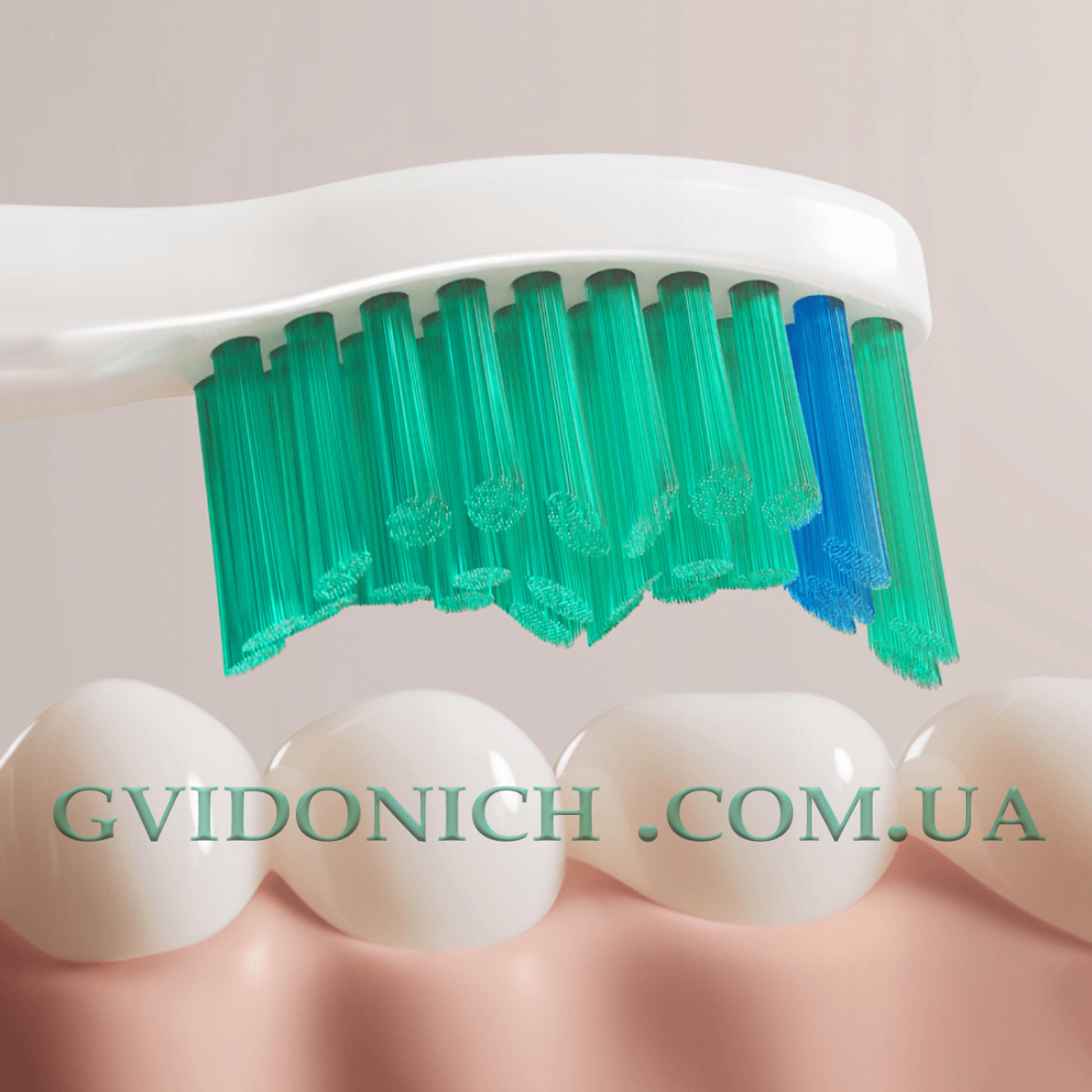 Насадки для зубной щетки Philips Sonicare C1 ProResults