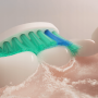 Насадки для зубной щетки Philips Sonicare C1 ProResults HX6018 8 шт